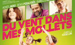 好片推推：我們一家都有病？古怪家族電影特蒐 電影、古怪、家庭、有病、溫馨