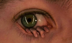 惡夢成真的驚悚合成圖集 合成、恐怖、詭異、噁心、驚悚