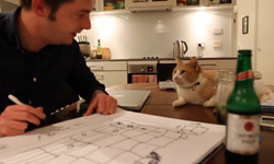 愛心多到滿出來  主人為愛貓打造紙箱迷宮       Rufus Tower、貓咪、迷宮、紙箱、手作