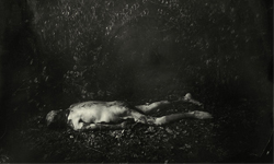 屍體農場──美國法庭蒐證用曝屍園地 屍體農場、屍體、農場、美國、法庭