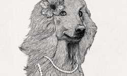 貴氣逼人！穿金戴銀的動物插畫    Henry Ye、插畫、珠寶、動物、藝術