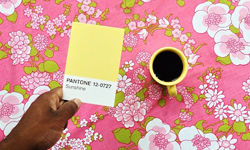 發現生活中的小樂趣 生活中的隱藏色票 生活、攝影、色票、顏色、Paul Octavious、藝術