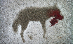 請做好心理準備！不舒服圖集突擊 圖集、不舒服、詭異、怪異、恐怖