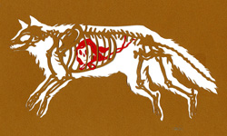 動物都吃了什麼？解剖系動物紙雕 藝術、紙雕、Wendy Wallin Malinow、動物、松鼠