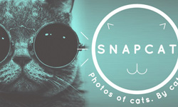 奴才跪安吧！貓咪自拍APP不用貓奴費心 SNAPCAT、貓咪、自拍