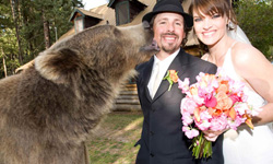 真正的熊麻吉！如膠似漆的人熊兄弟檔 熊、伴郎、動物