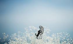 微小而美好的瞬間   小紙人生活大冒險 攝影、Kouichi Chiba、藝術