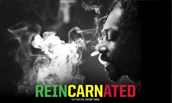 發現好聲音：史努比狗狗關係企業？史努比獅獅您哪位 音樂、西洋、流行、英文、美國