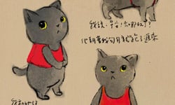 貓咪私生活日記！李小逸的貓咪插畫    貓咪、插畫、李小逸