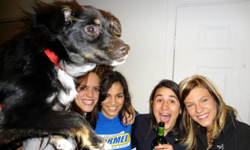 拍照互揪是一種禮貌！超爆笑小狗搶鏡頭全紀錄 Photobombs、爆笑、亂入、小狗、搞笑