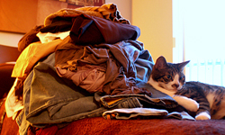 衣櫃滿到塞不下？聰明女孩都要會的衣櫃整理術 衣櫃、整理、收納、、