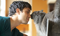 全國貓奴站出來！大聲說養貓的8個好處    貓奴、貓咪、好處、優點、認養