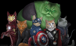 趕搭英雄列車 貓咪版本復仇者聯盟 復仇者聯盟、鋼鐵人、索爾、浩克、黑寡婦
