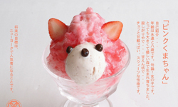 刨冰熊出沒中！夏季限定可愛動物刨冰 熊、Japanese Ice OUCA、ジャパニーズアイス櫻花、刨冰