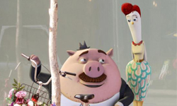 雞與蛋的兩難　動物愛情喜劇短篇動畫 蛋、雞、短篇、愛情、兩難