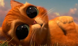 7月5日 今天電視看甚麼：凱薩琳麗塔瓊絲姊弟戀？！ 電視、節目表、電視節目表、電影、HBO