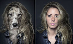 越長越像的寵物與主人？Sebastian Magnani的寵物認證照 寵物趣聞、寵物、寵物攝影、Sebastian Magnani