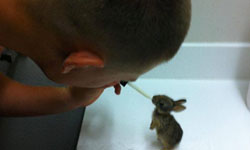 真男人的條件！海軍拯救小兔子事件簿    兔子、萌、海軍、Joshua Bisnar