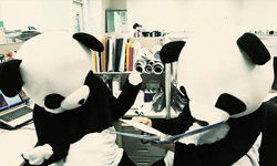 大錯特錯不要來  別當動物系女孩！ 黑眼圈、魚尾紋、法令紋、大象皮、保養