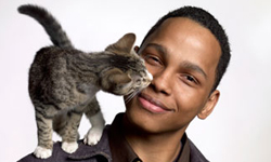 貓媽媽的強迫症！舔毛控貓咪幫你洗香香    貓咪、理毛、舌頭、梳毛、舔毛