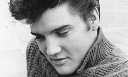 媽媽也有過的少女情懷　西洋經典情歌精選 懷舊、老歌、西洋情歌、黑膠唱片、貓王