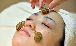 讓蝸牛爬！日本最新蝸牛美顏法 美容、抗老、蝸牛、敷臉、美容