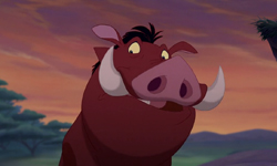 這就是童話與現實的距離  迪士尼動物其實長這樣！ 風中奇緣、獅子王、少年Pi的奇幻漂流、巴哥犬、浣熊