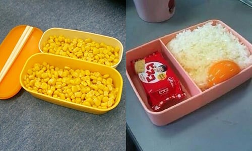 愛心便當去哪了？怨念全開的報復便當大集合！       便當、惡搞、整人、報復、復仇