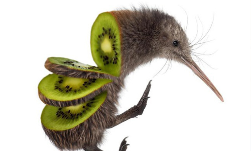 叫吃素的人情何以堪！難以下嚥的動物系蔬果 蔬果、動物、創作、藝術、有趣、新鮮、Sarah DeRemer、難以下嚥、藝術