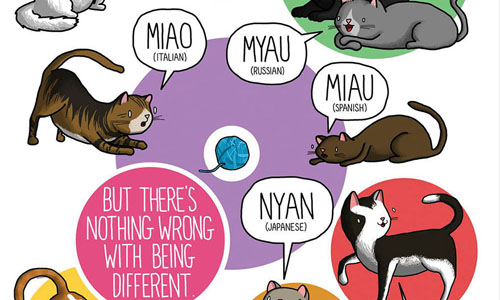 日本的貓咪「娘娘」叫？外國人耳裡這些聲音聽起來不一樣！ 語言、文化、解讀、聲音、James Chapman