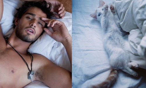 你能駕馭的我也可以！帥哥萌貓吸睛度比一比 Des hommes et des chatons、帥哥、貓、攝影、PK