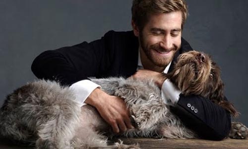 還在花錢買寵物？8位藝人身體力行「以認養代替購買」 認養、領養、寵物、流浪動物、流浪動物之家