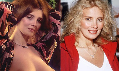 一日肉彈，終生脫星？祖嬤級兔女郎40年前後寫真比一比 寫真、寫真集、寬衣解帶、輕解羅衫、花花公子