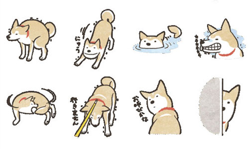 可愛柴柴來接棒！LINE個人原創貼圖限免第二檔釋出 LINE、個人原創貼圖、柴犬、貼圖、 Shiba Inu