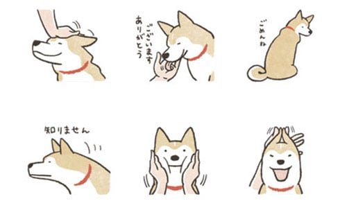 原創貼圖流行中！超受歡迎的四款LINE貼圖姊妹作瘋下載 Shiba Inu、LINE、貼圖、柴犬、拉比豆、Tidlom、SUSHIYUKI、個人原創貼圖