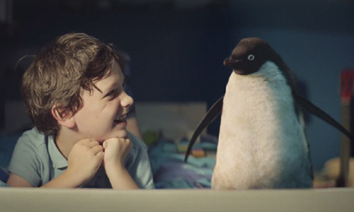 可愛正太給企鵝的聖誕驚喜是？2分鐘短片讓百萬人感動落淚 聖誕節、耶誕、廣告、John Lewis、可愛、企鵝、美夢成真、心意