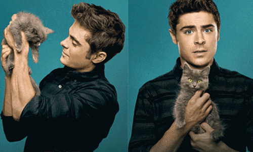 好想報名當他們懷裡的貓！6位超可愛的貓奴男星 愛貓、貓奴、男星、娛樂、歐美、紅髮艾德、戴夫法蘭科、Ian Somerhalder、柴克艾弗隆