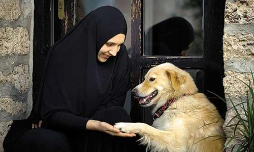 養狗得挨74鞭！伊朗立新法禁養寵物狗 伊斯蘭、古蘭經、狗、不潔、飼養