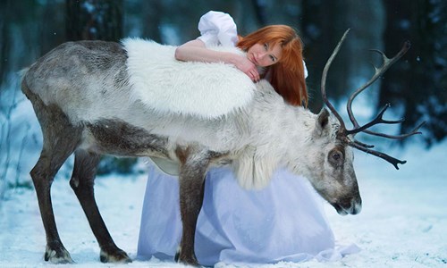 與貓頭鷹、馴鹿零距離親密接觸　北國森林童話攝影集 攝影、攝影集、攝影師、Darya Kondratyeva、Dasha Kond、Miracle、森林、童話、動物、野生、戰鬥民族、莫斯科、俄羅斯、貓頭鷹、馴鹿、狼、烏鴉、孔雀、鴕鳥、馬、藝術