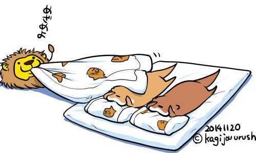 冬天就是要一直吃一直吃！胖萌水獺兄弟的慵懶生活插畫 kagijouurushi、推特、日本、插畫、水獺、生活、可愛、療癒