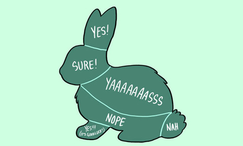 你真的懂你家毛小孩嗎？超強圖解告訴你各種動物最愛被摸的部位 貓狗、寵物、毛小孩、可愛、動物