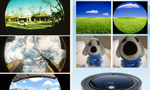 11/26限時免費App特輯：用魚眼拍出超逗趣的大鼻狗吧！ 限免、免費、特價、iPhone、App