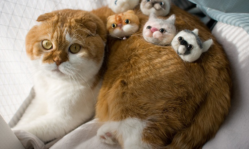 貓毛出自貓身上！風行日本的超人氣「貓毛氈」 貓毛氈、貓毛、貓、可愛、喵星人