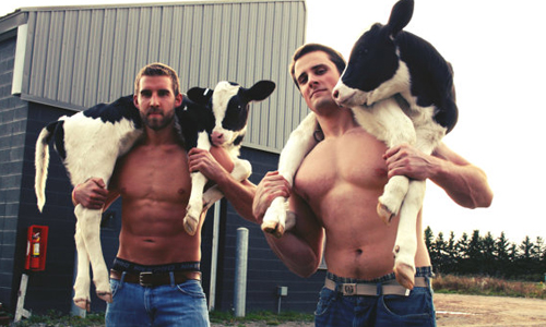 感冒不知道能不能去看獸醫？美獸醫學生推出超性感猛男月曆 獸醫、學生、慈善、月曆、2015