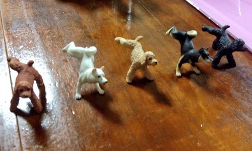 飲料被狗狗下尿啦！尿尿犬扭蛋讓你走到哪尿到哪 扭蛋、玩具、驚喜、Kitan、撒尿狗狗、 マーキング犬、可愛、作記號、狗狗、柴犬、憨憨、傻氣、跩跩、神氣、抬腳、尿尿、收藏