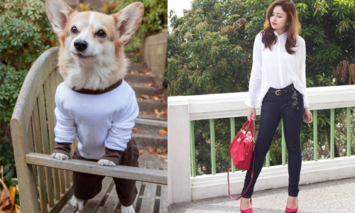 牛仔褲就是百搭？穿錯牛仔褲會遇到的4個悲劇 牛仔褲、百搭、悲劇、膠原蛋白、穿脫