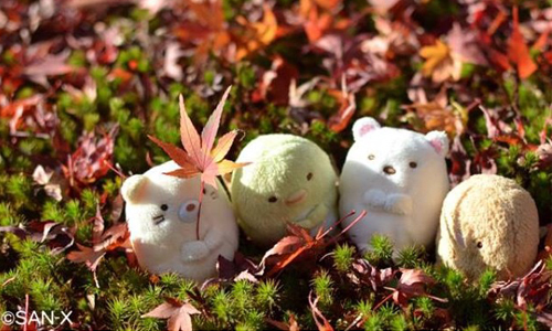 大家塊陶啊～在Instagram上搜尋「角落生物」會出現…？ 角落生物、可愛、角落公仔、すみっコぐらし、Sumikko Gurashi