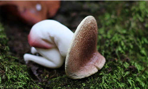 生理痛到底多恐怖？腹痛菇菇表演給你看 ポイズンきの子、扭蛋、玩具、可愛、女孩