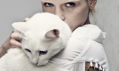 照片有貓就是比較時尚？12張照片證明貓咪在時尚圈混得比人好 時尚、貓咪、Anja Konstantinova、cat、可愛