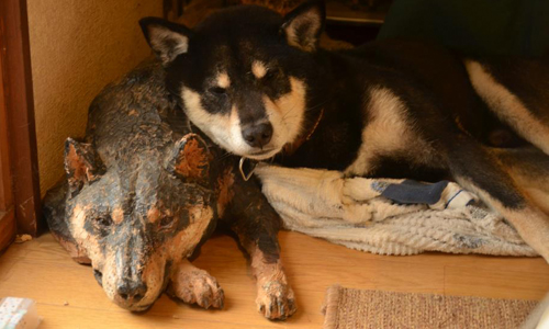 黑柴犬也想搭訕它們！精緻一百分的超逼真動物木雕 Mio Hashimoto、木雕、可愛、逼真、藝術、動物、黑柴、貓、朋友、日本、超強、鹿、烏龜、工藝、藝術